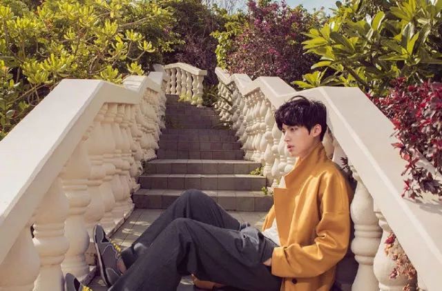 安宰贤具惠善恋爱多久结的婚,安宰贤和具惠善恋情曝光