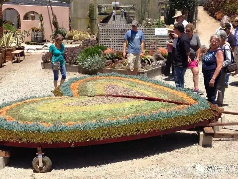 老外私家花园景观,国外多肉花园