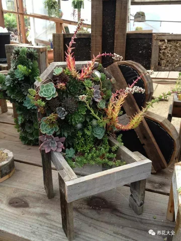 老外私家花园景观,国外多肉花园