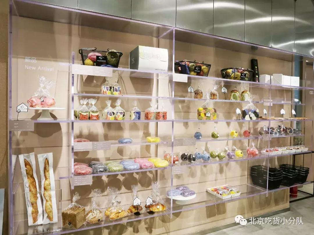 可爱的小奶狗吃冰激凌,小奶狗吃各种各样的冰淇淋