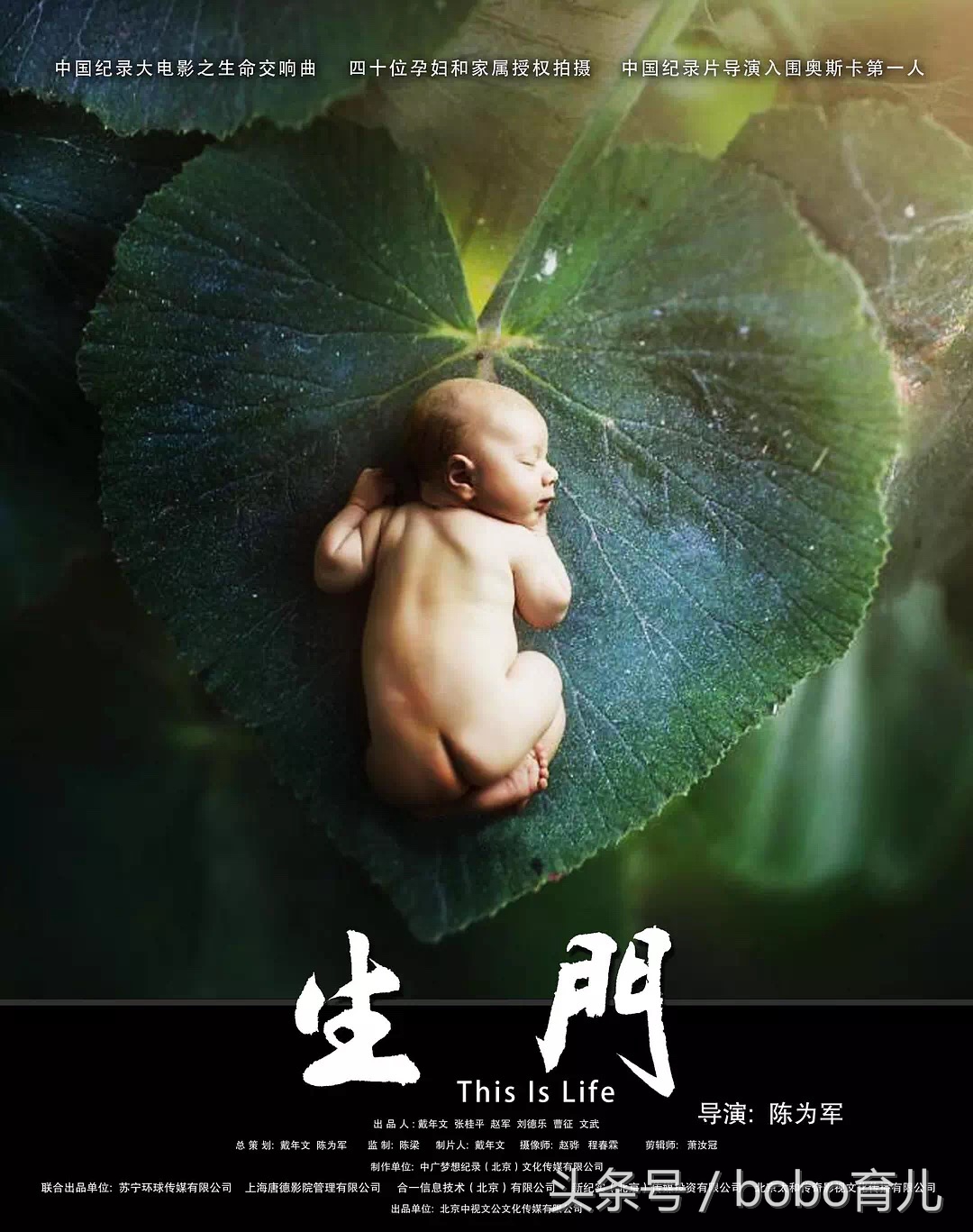 生门生命宫,生门生命意义