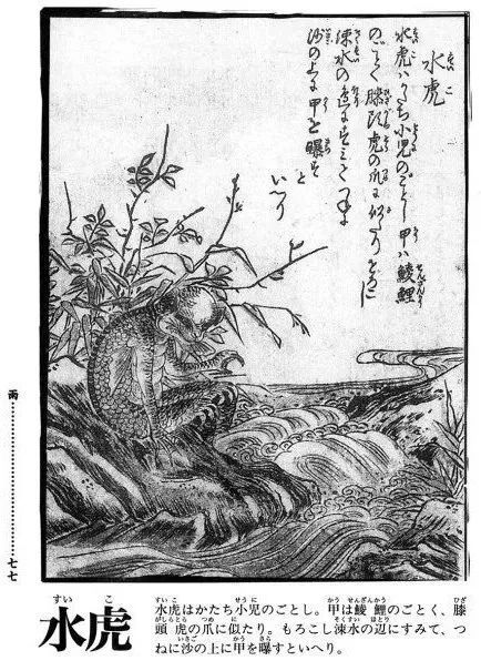 河川猛虎，切勿戏弄「百鬼·水虎」