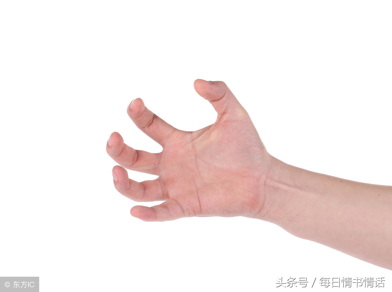 传统武术拳法基本功日常训练,传统武术基本功踏腿