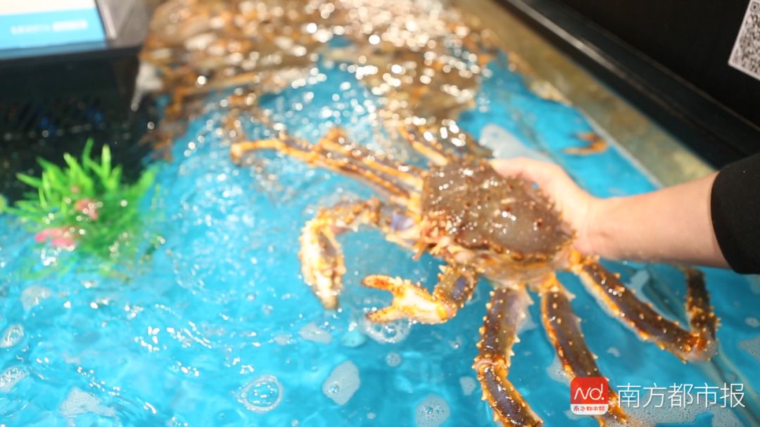 海鲜保水增重,海鲜注水