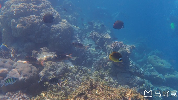 蜜月之都马尔代夫,蜜月旅行之马尔代夫