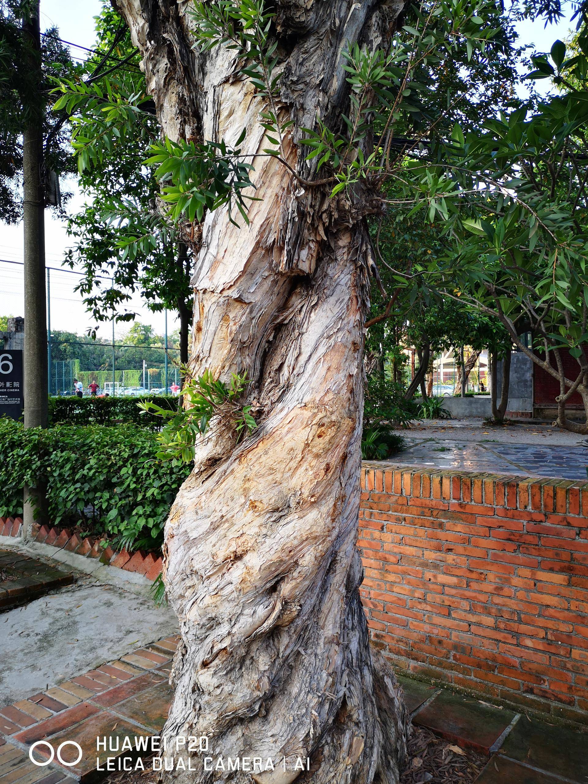 华为p20有哪些优点和缺点,华为p20的徕卡像素怎么样