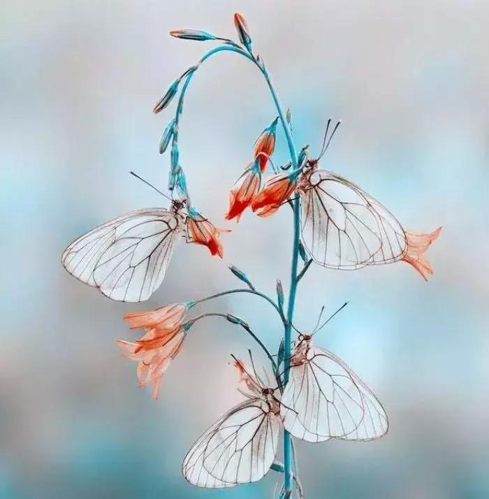 不怕你占便宜就怕代价太大,不怕吃亏就怕别人说你占便宜