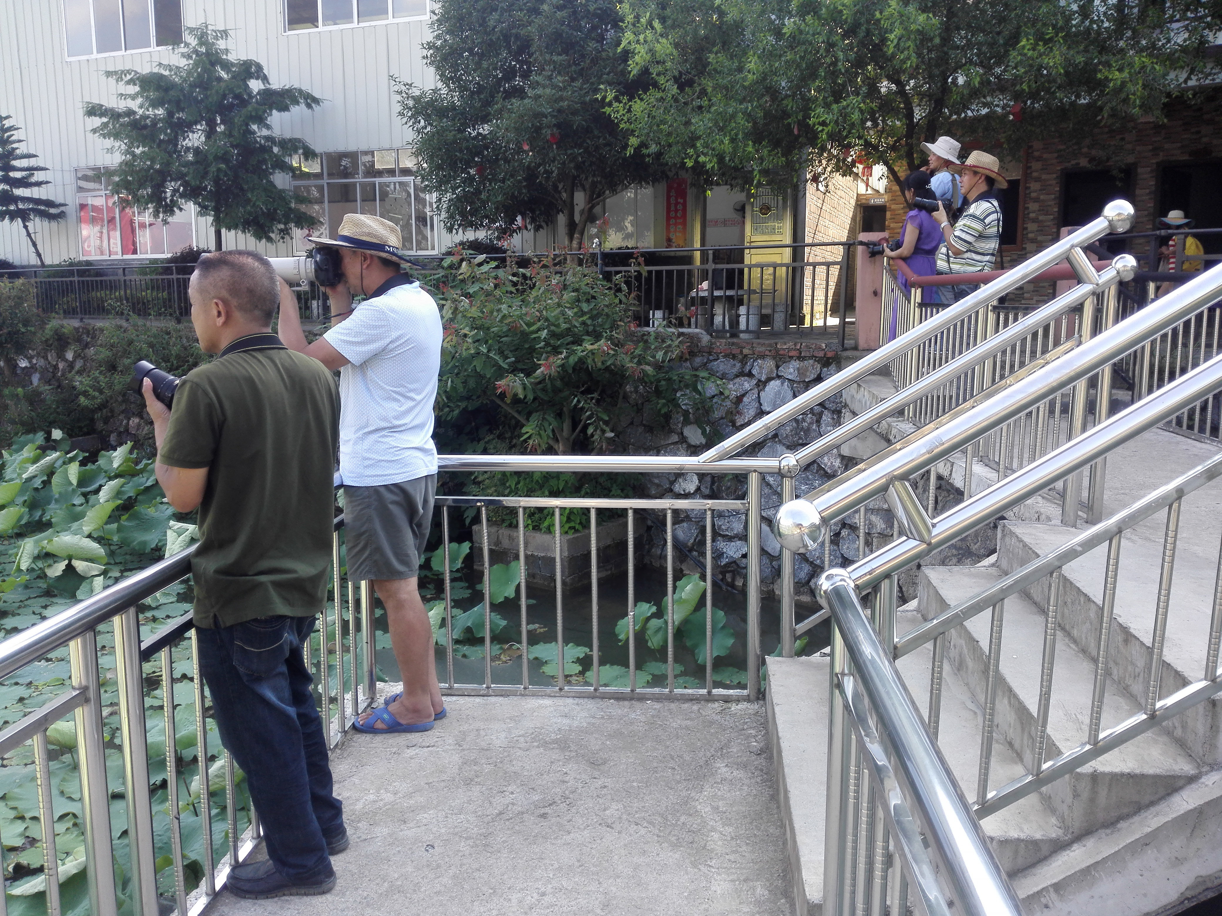 广西全州农庄排名,广西全州县绕村绿岛生态农庄