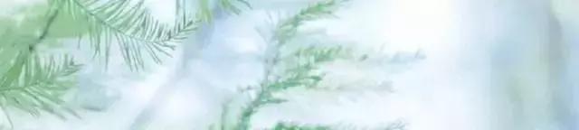 知乎上点赞最高的十条神回复,来自知乎的32个神回复笑死我了