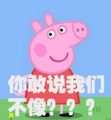 戴森的吹风机为什么很贵 (戴森的吹风机为什么那么贵)