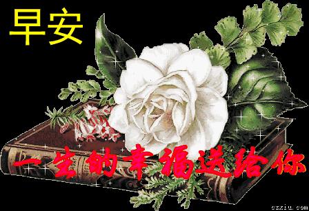 祝福早上好的图片带字表情包,早上好可爱小孩祝福表情包