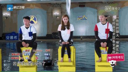 angelababy和杨紫的新综艺,angelababy和杨紫的综艺节目