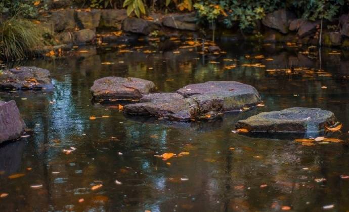 关于春天古诗词鉴赏和赏析,描写春天的古诗词名句精选