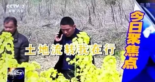 土地流转热点,土地流转助推产业振兴