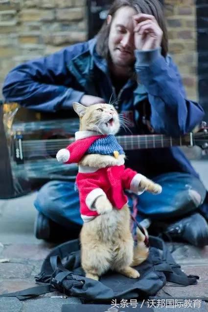 强势好书推荐,好看英文书推荐