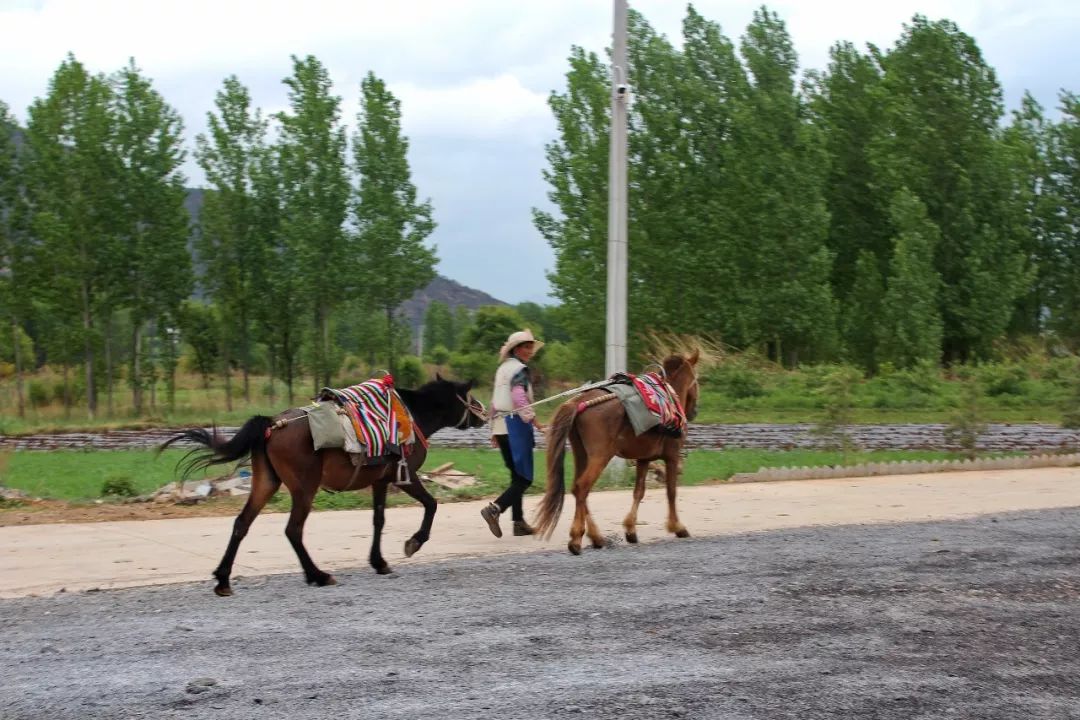 一个人旅行云南丽江,一个人去云南丽江旅行攻略图