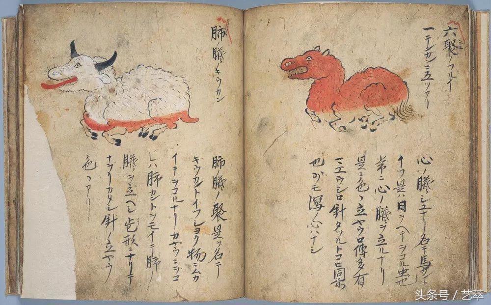 四百年前，日本人给寄生虫画了套漫画？！｜艺术画册