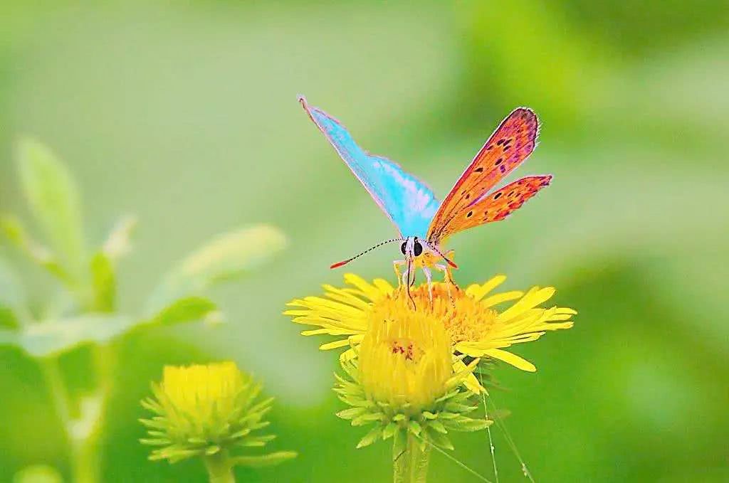 金尚陪你疗愈内在小孩、走出抑郁