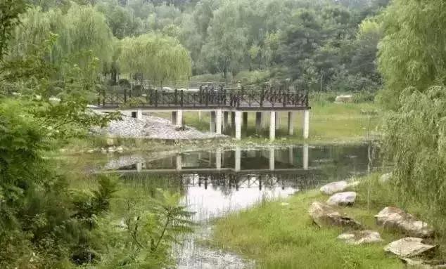 郑州有什么好玩的地方免费开放,郑州好玩的免费景点