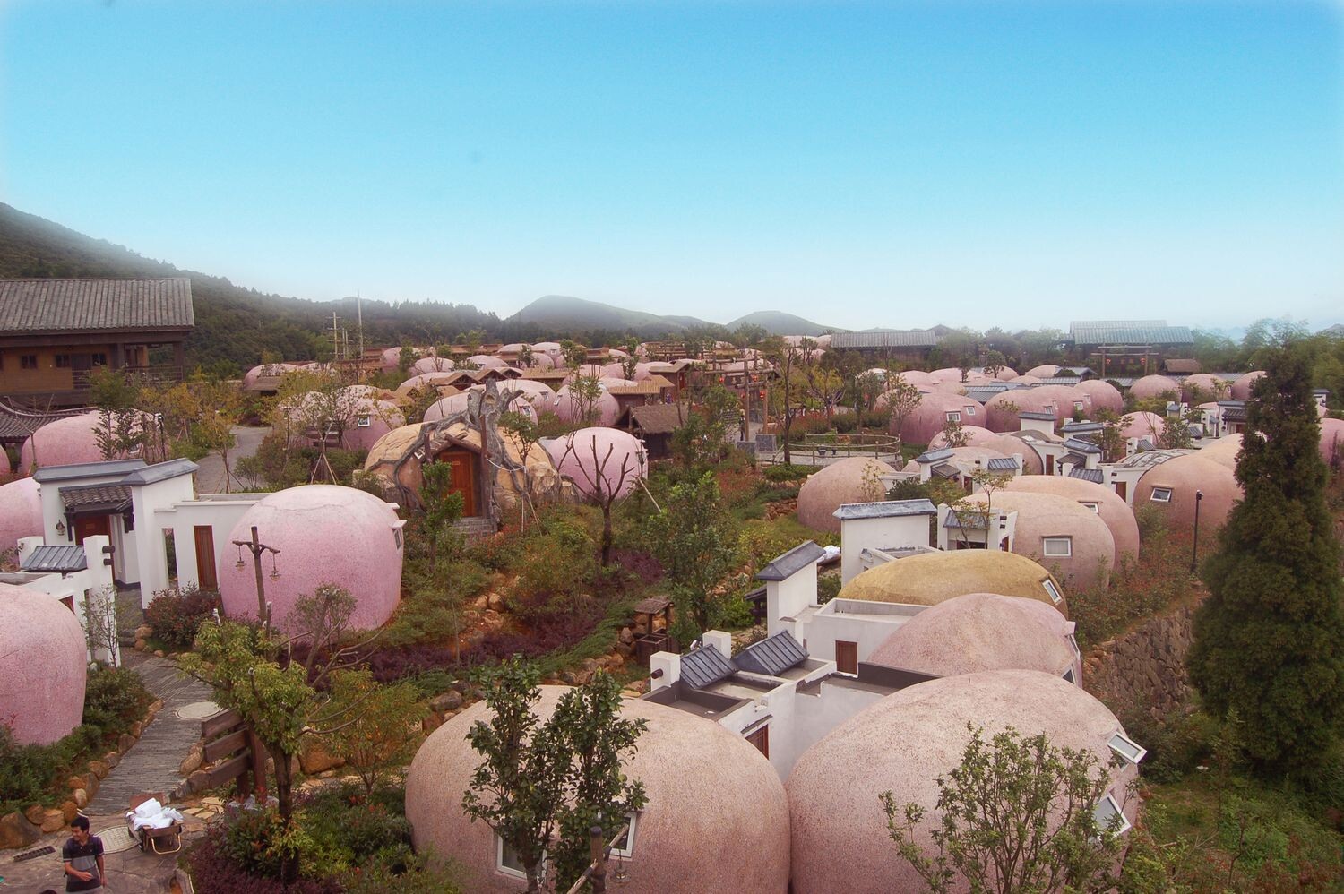 福建儿时的记忆山上的野果,福建山上秋天野果