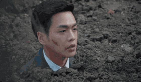 导演星二代,导演的星二代