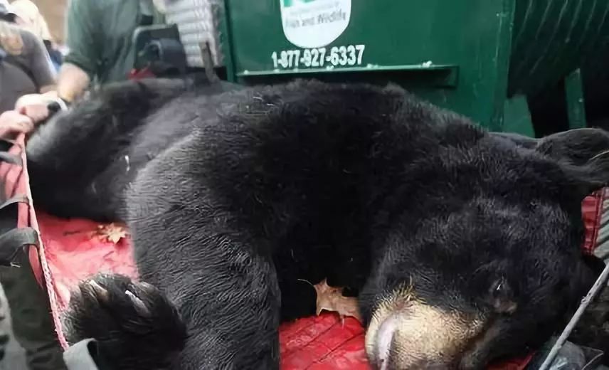 代购背后的骗局,代购十大骗局揭秘图