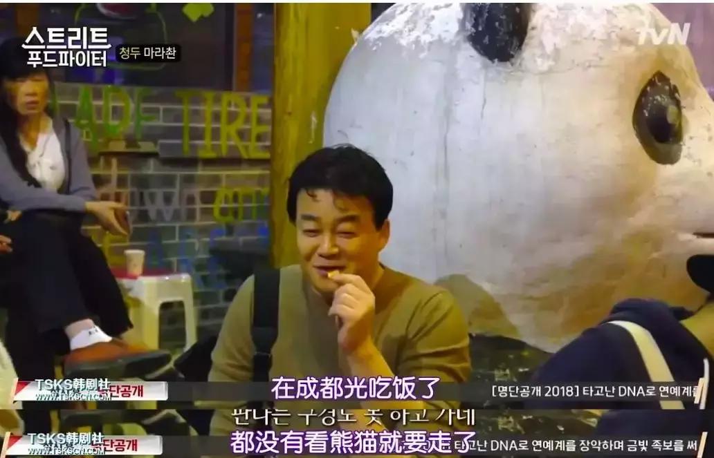 去成都喂大熊猫,去成都没看到大熊猫