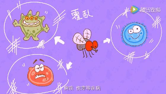 四害消杀温馨提醒,除四害科普小知识