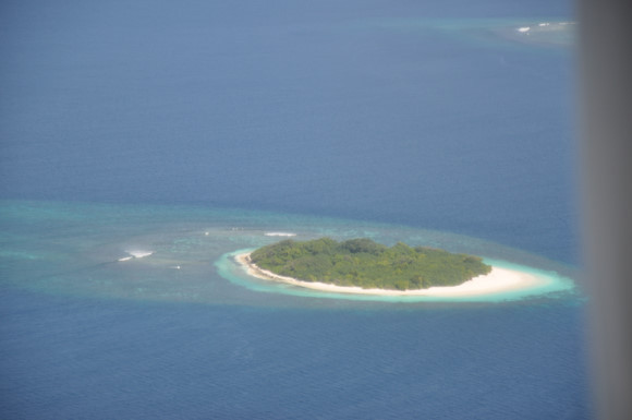 马尔代夫哈拉微莉岛游记,马尔代夫娇丽岛旅游攻略