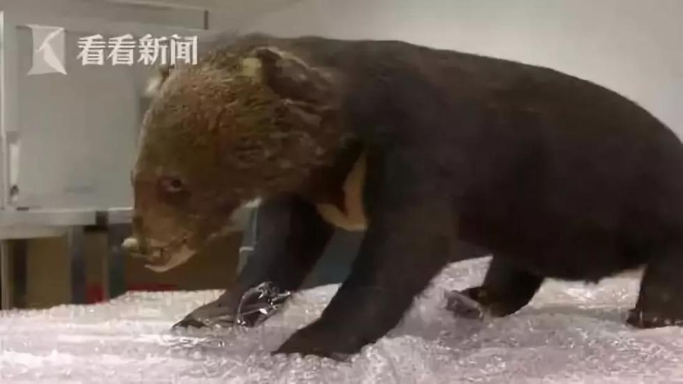 朋友圈里卖低价服装的真相,揭露各种海外代购真相