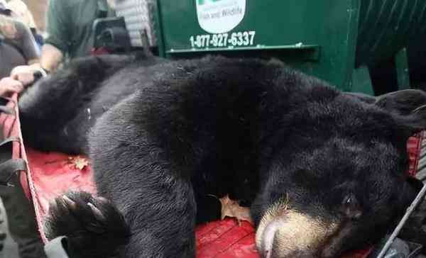 朋友圈里卖低价服装的真相,朋友圈代购低价套路