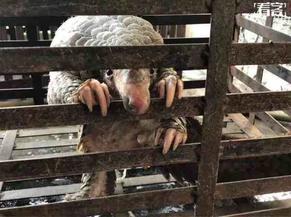 代购圈黑幕,代购究竟有多暴利