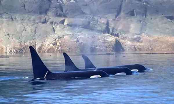 朋友圈里卖低价服装的真相,朋友圈代购低价套路