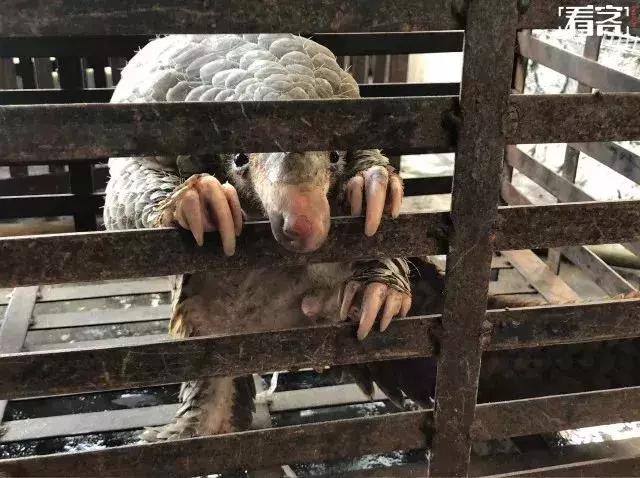 海外代购的暴利秘密 (代购圈乱象)