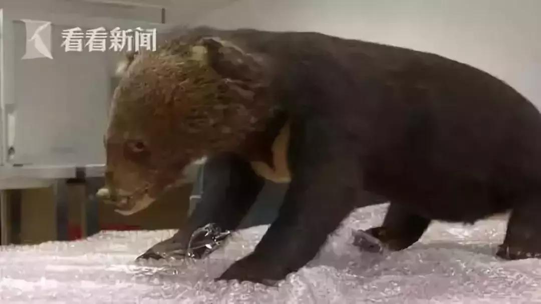 真正的代购骗局,代购究竟有多暴利