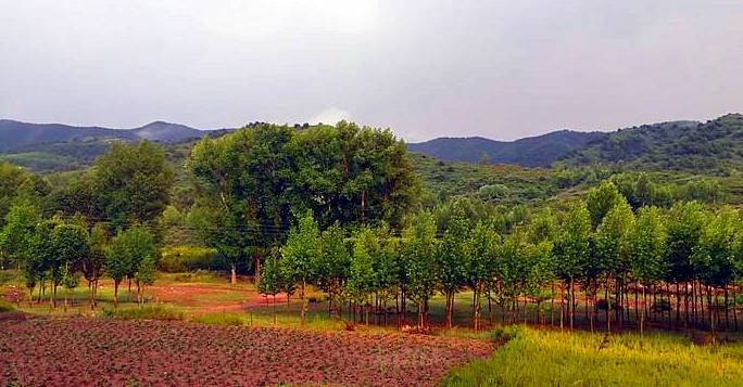 太原周边山清水秀的地方,太原附近有山有水好去处推荐