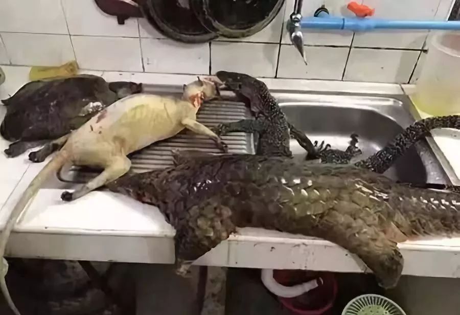 代购究竟有多暴利,代购骗局揭秘朋友圈