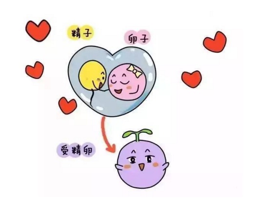 胎儿一直没胎心是什么原因,胎儿没有胎心了是什么原因造成的