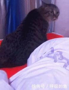 搞笑GIF：来我办公室，我要根据情况来决定给你什么处分