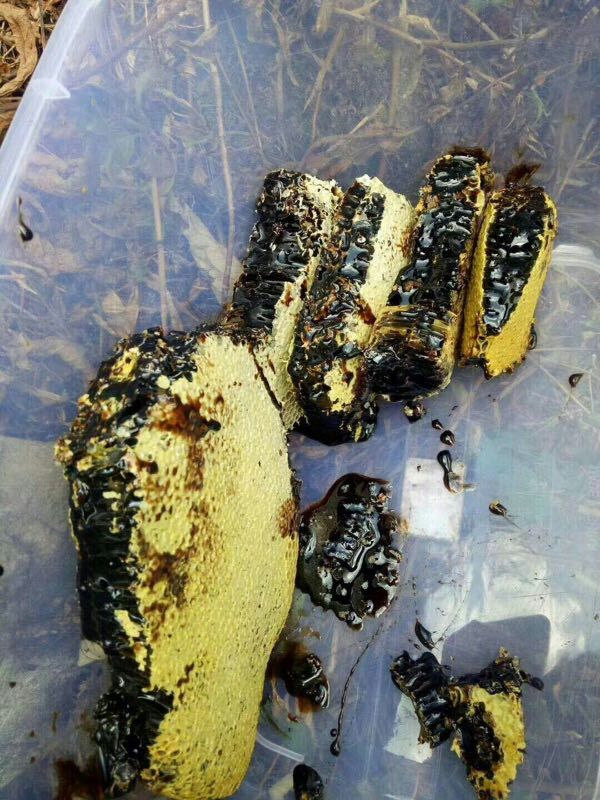 80%的人都没有吃过真正的蜂蜜,20多年的老蜂蜜还可以吃不