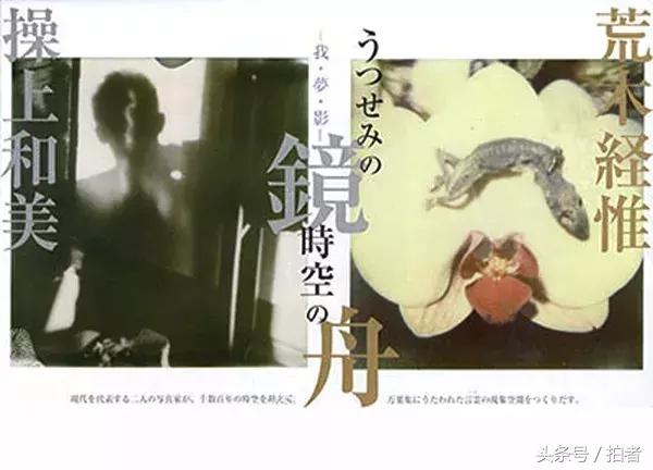 鏈ㄦ潙鎷撳搲鐨勪袱涓コ鍎垮ぇ鐖嗘枡,鏈ㄦ潙鎷撳搲2046鎷嶄簡浜斿勾