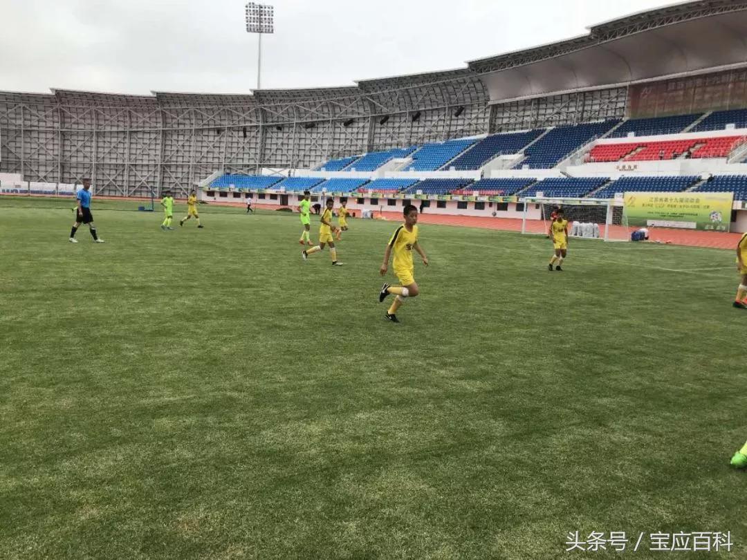 宝应鸟巢演唱会现场,鸟巢演唱会宝应