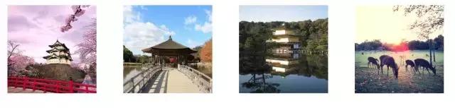 从千元流拍到百万天价，日本购物怎能没有它？