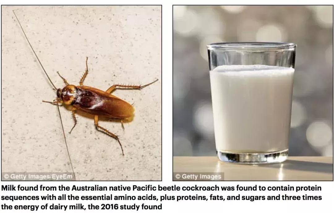 awehome怎么样,awehome靠谱吗