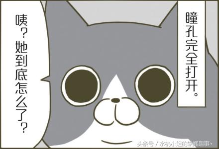 咪咪趣事漫画：为何把爪子伸进去呢？