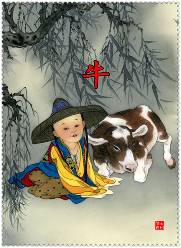 十二生肖运势与财运图表大全集,十二生肖的命运和财运图解