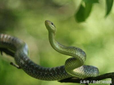 周公解梦你都梦到了什么,周公解梦全解查询梦到生意好