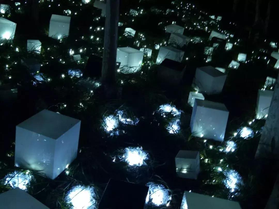 南艺爆料,南艺日常