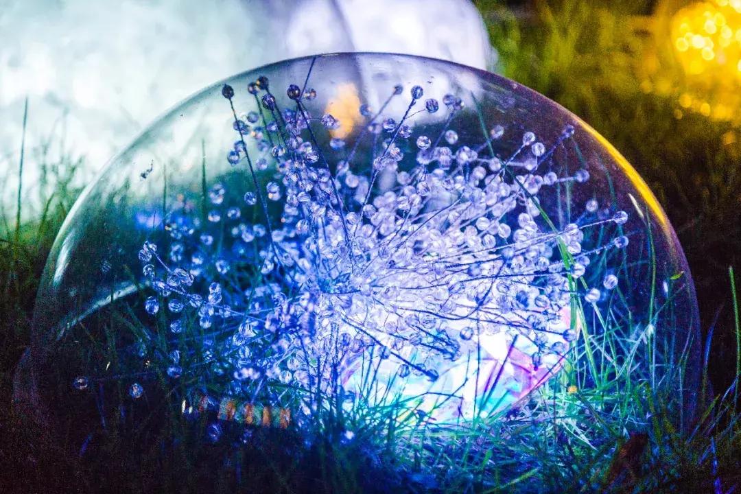 南艺爆料,南艺日常