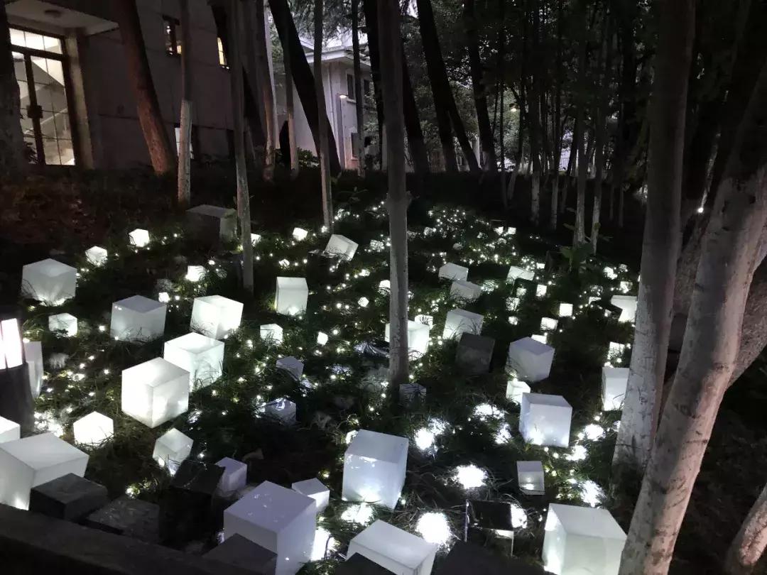 南艺爆料,南艺日常